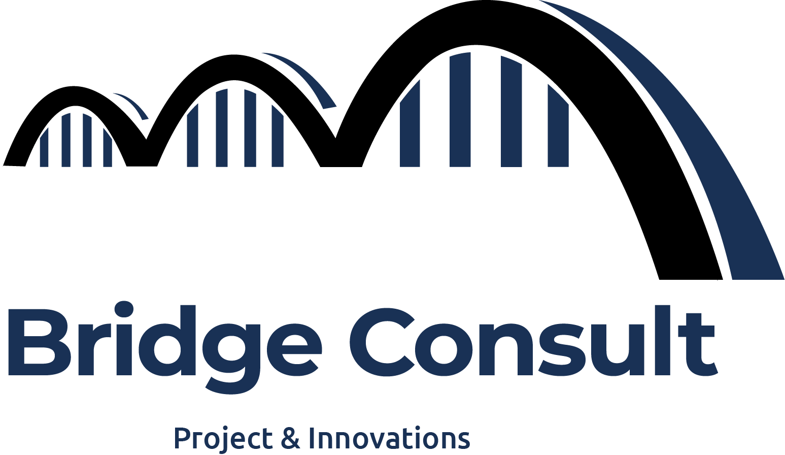 Logo Bridge